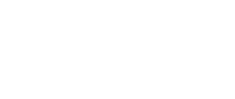 在尼日尔通过VPN看国内电影 - Fast CN